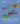 Insects: Discover the Science and Secrets Behind the World of Insects by DK